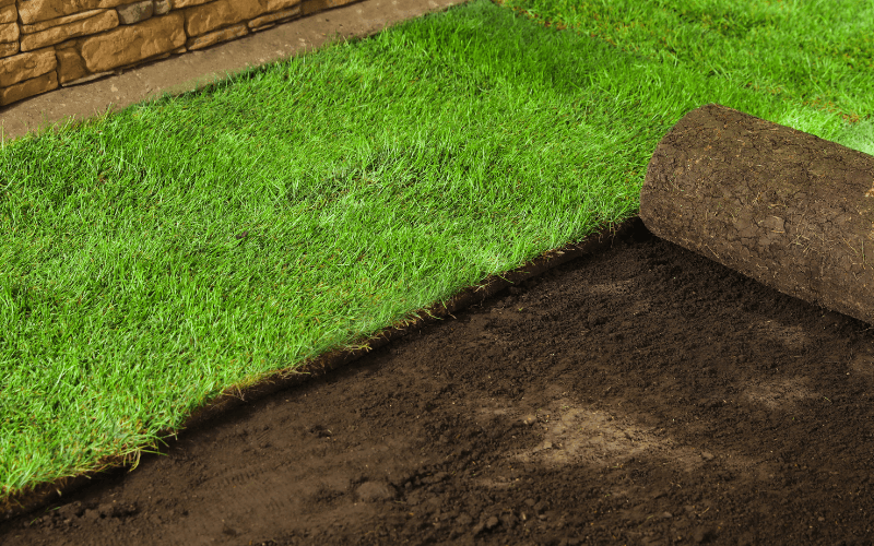 Sod Installation Services in Catoosa, OK